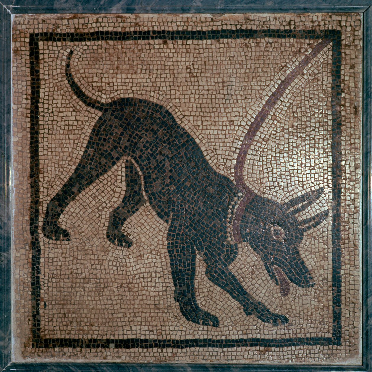 Romersk mosaikk av en hund, 1. århundre av Unbekannt