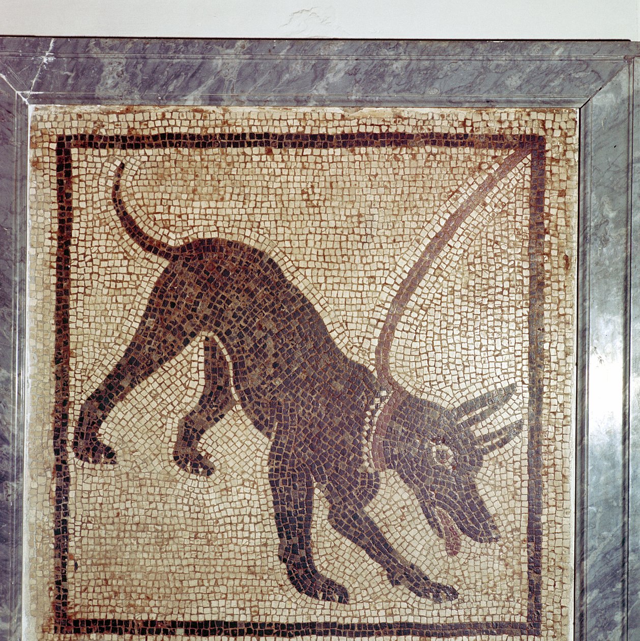 Romersk mosaikk av hund, Cave Canem, Pompeii, Italia av Unbekannt