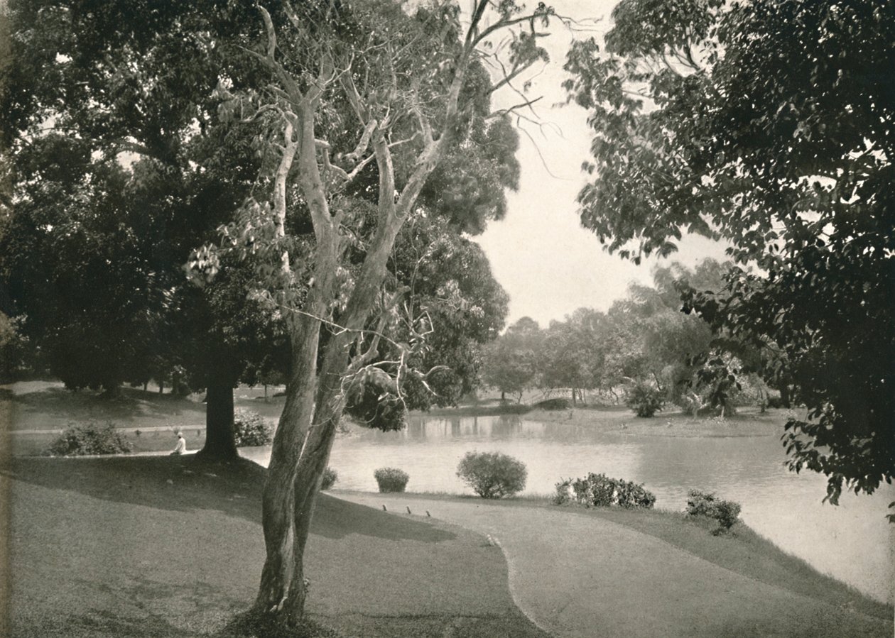 Royal Lakes, Rangoon, 1900. av Unbekannt
