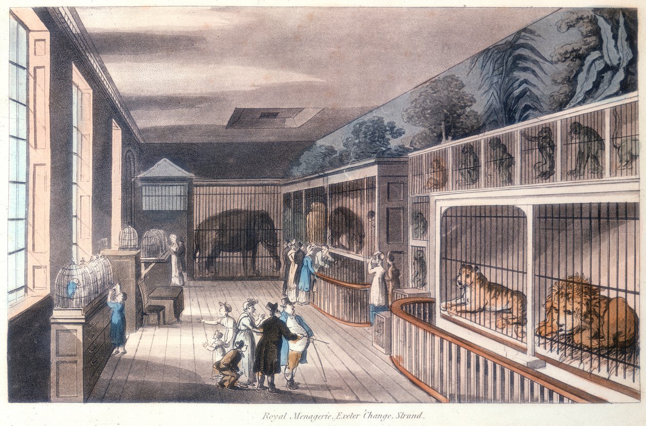 Royal Menagerie, Exeter Change, Strand, London, c1820 av Unbekannt