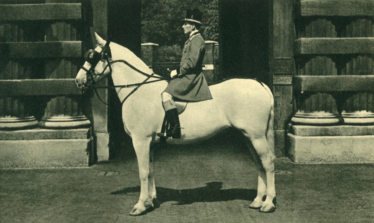 Royal Outrider i Scarlet Livery, 1950-tallet. av Unbekannt