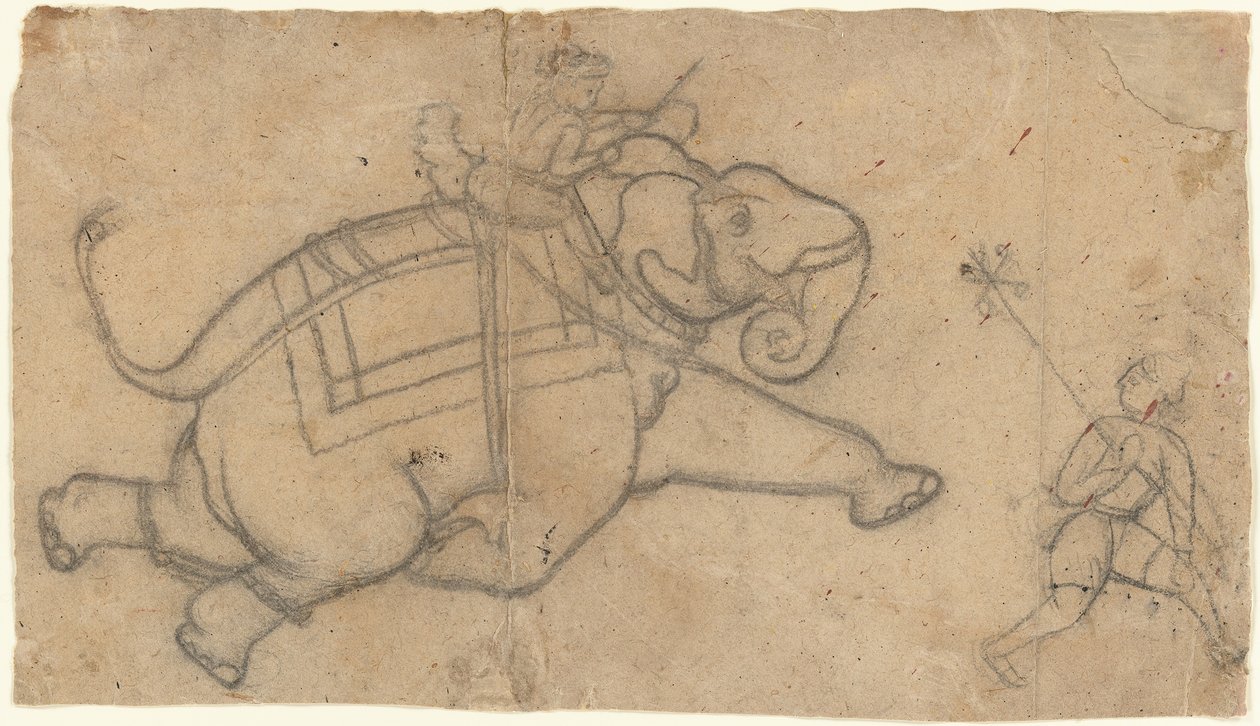 Running Elephant recto, Practice Sheet of Elephant Sketches verso, midten av 1700-tallet. av Unbekannt