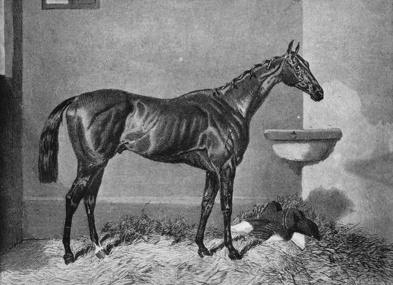 Russborough, 1800-tallet, 1911 av Unbekannt