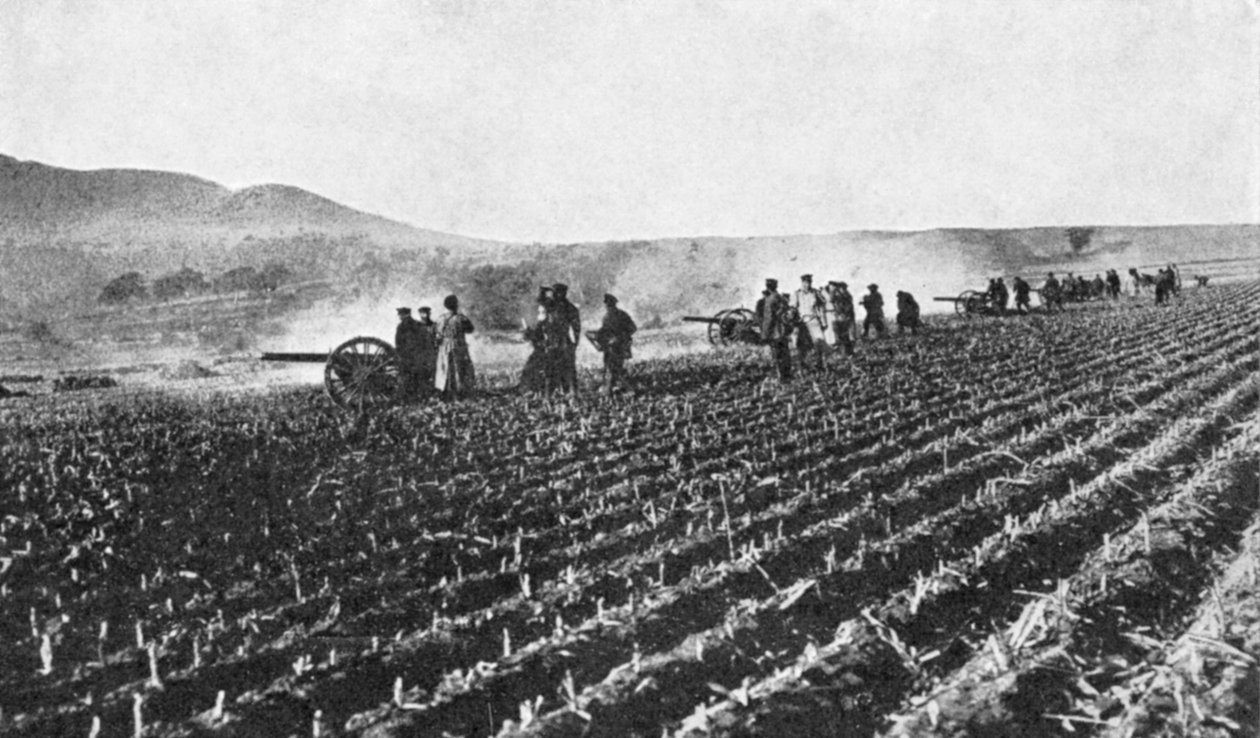 Russisk feltartilleri i hirsefeltet, russisk-japansk krig, 1904-5 av Unbekannt