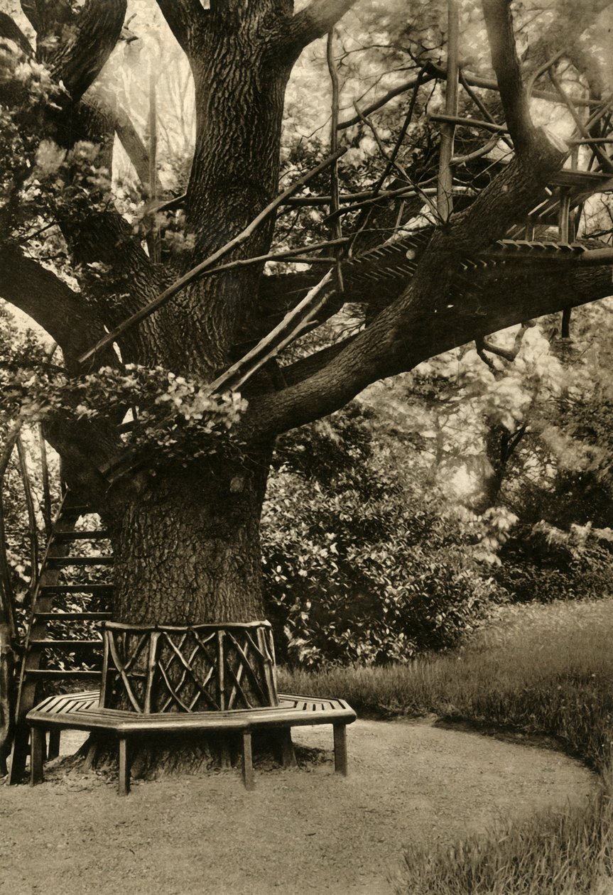 Rustikk behandling. - Sommerhus i et tre, et ideelt tehus, 1920. av Unbekannt
