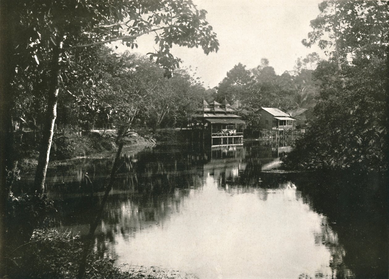 Sacred Horse Shoe Lake og Zayats, Wingaba, Rangoon, 1900. av Unbekannt