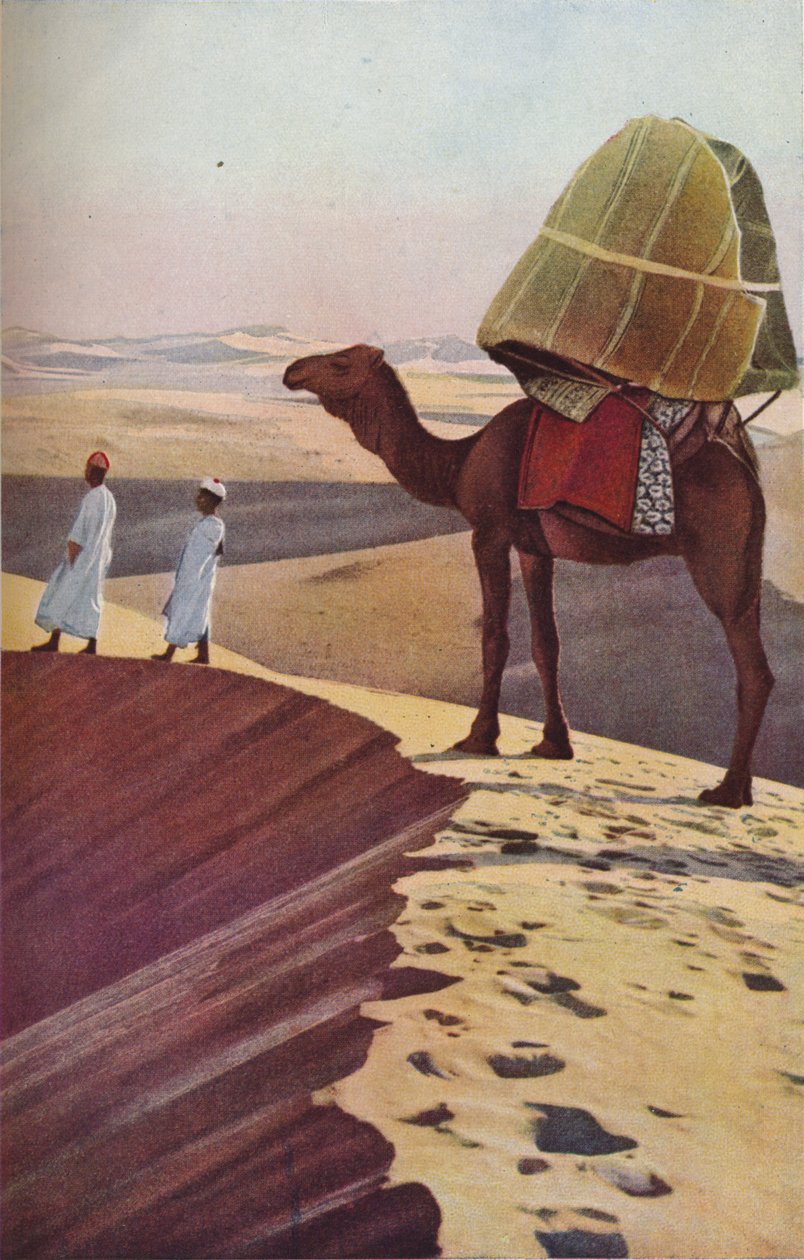 Sahara, ca 1930-tallet av Unbekannt