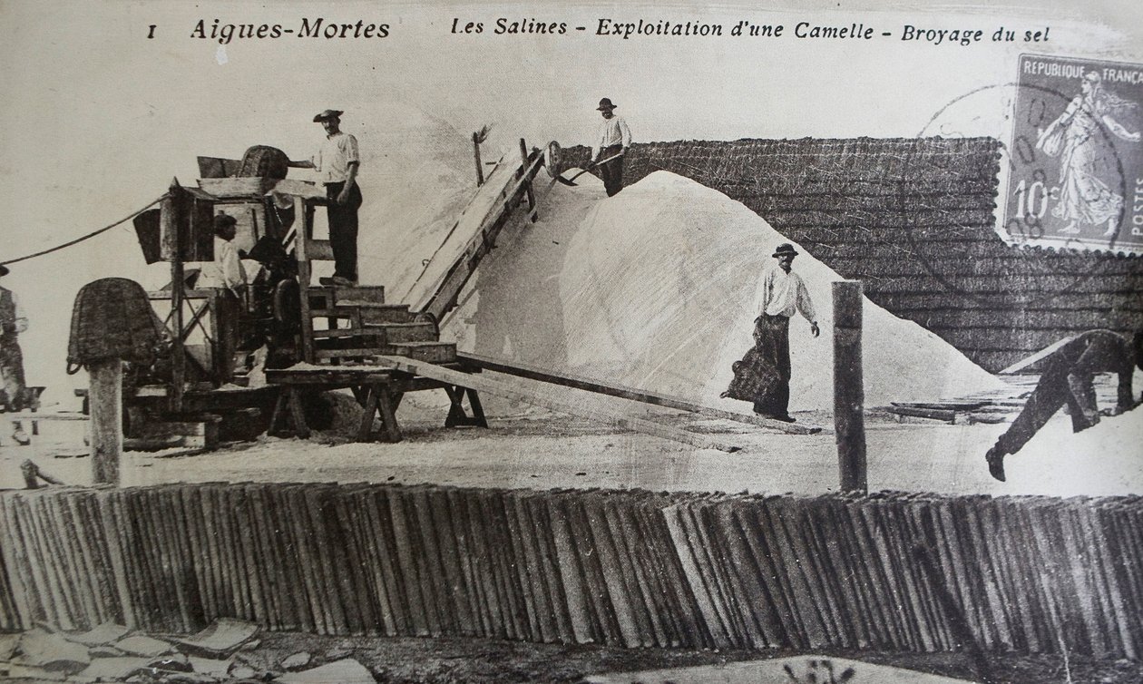 Saltworks, Camargue, Aigues-Mortes, Provenece, Frankrike (s/hvitt-bilde) av Unbekannt