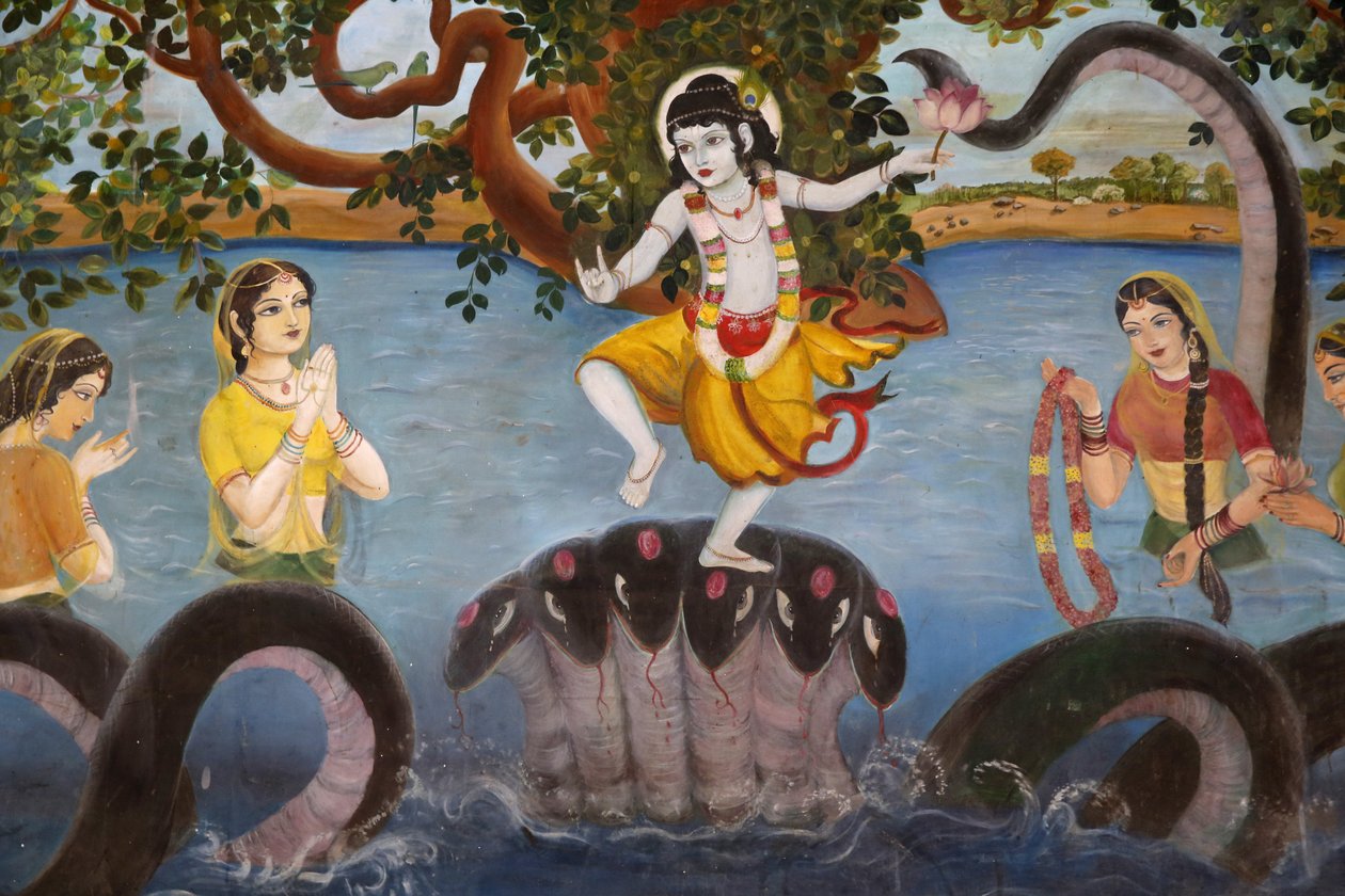 Sandipani Muni skole for trengende jenter drevet av Food for Life Vrindavan. Gud Krishnas liv. India av Unbekannt