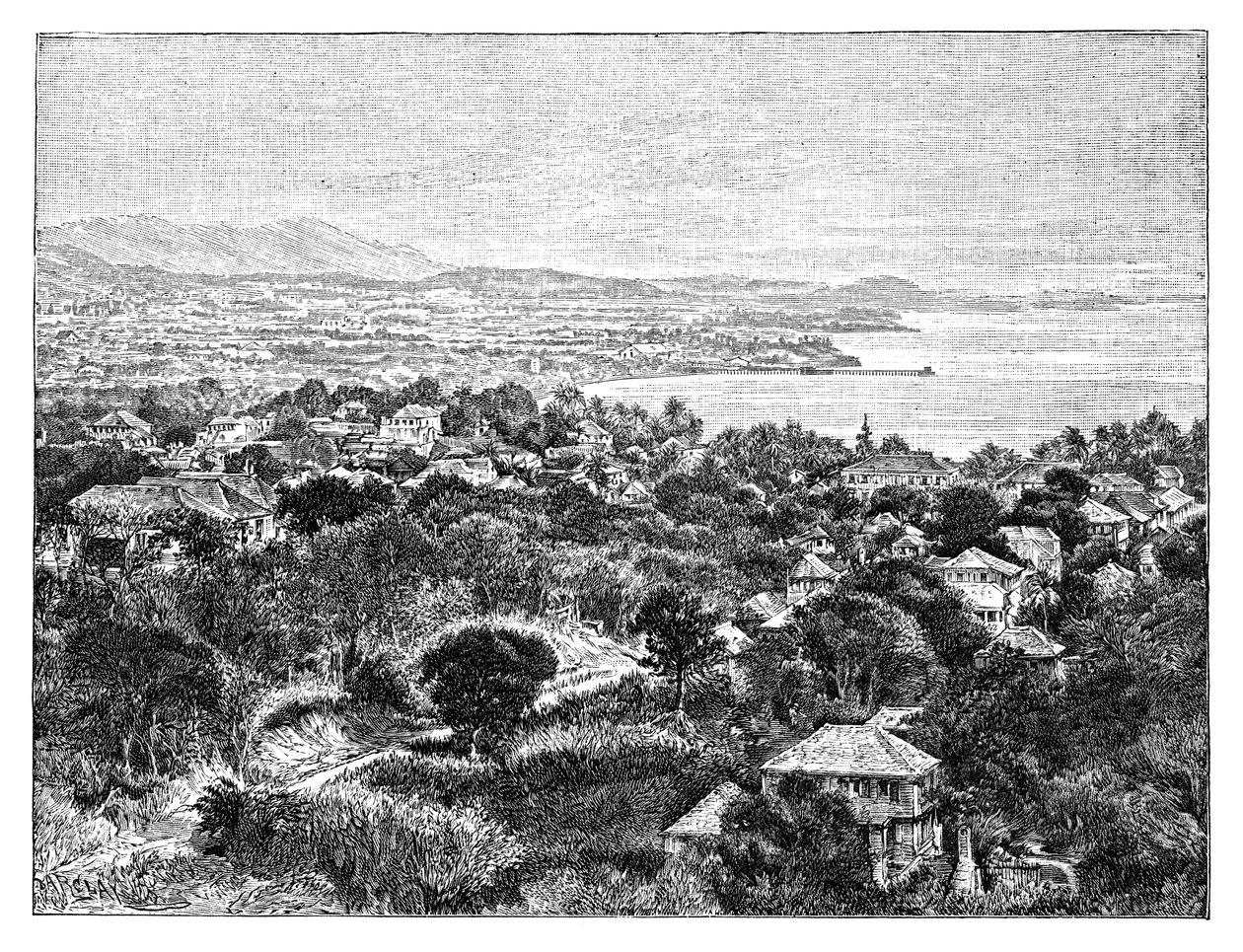 Santa Cruz Island, ca 1890 av Unbekannt