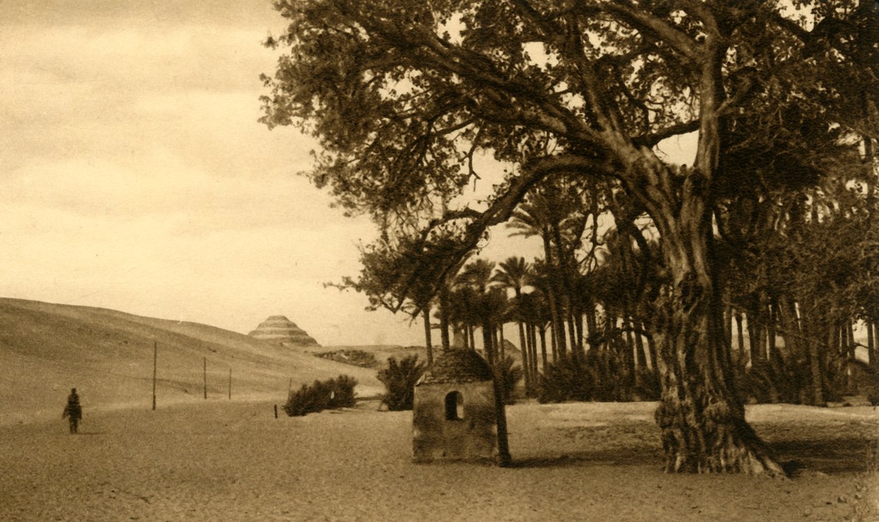 Saqqara - Trinnpyramiden sett fra Sycomore, c1918-c1939. av Unbekannt