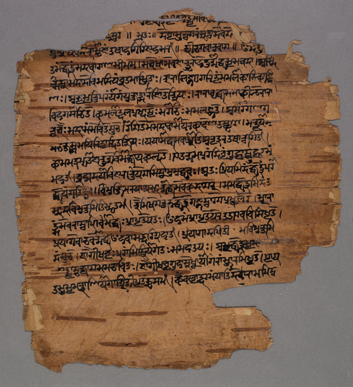 Sarada-skrift, 1600-tallet. av Unbekannt