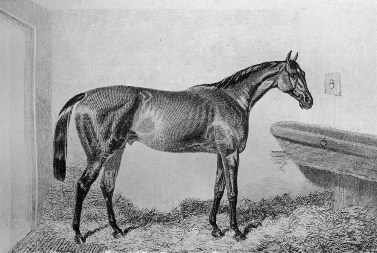 Sauseboks, c1840-1880, 1911 av Unbekannt