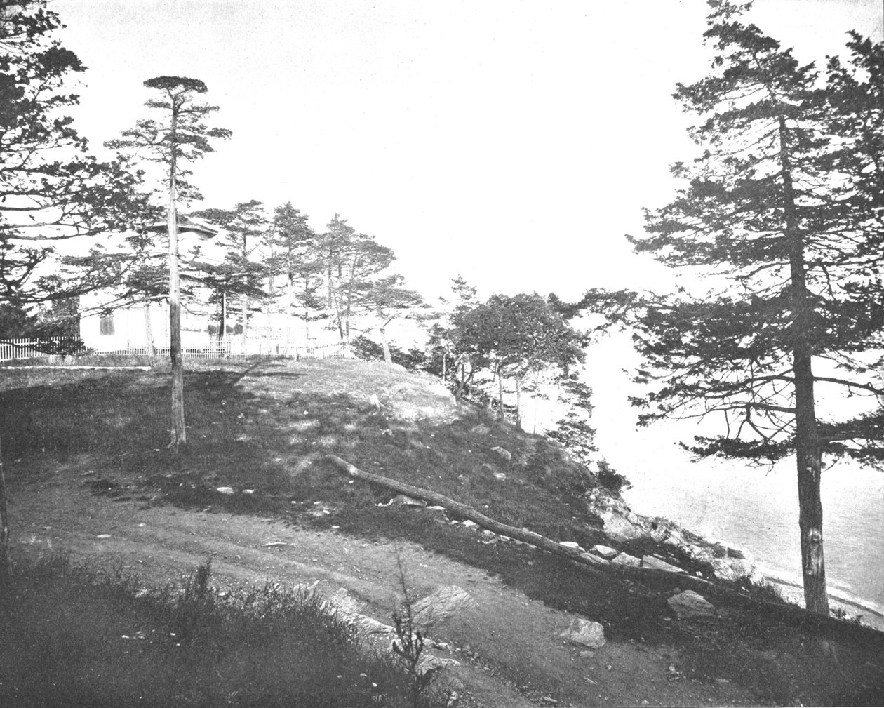 Savin Rock, New Haven, Connecticut, USA, c1900. av Unbekannt