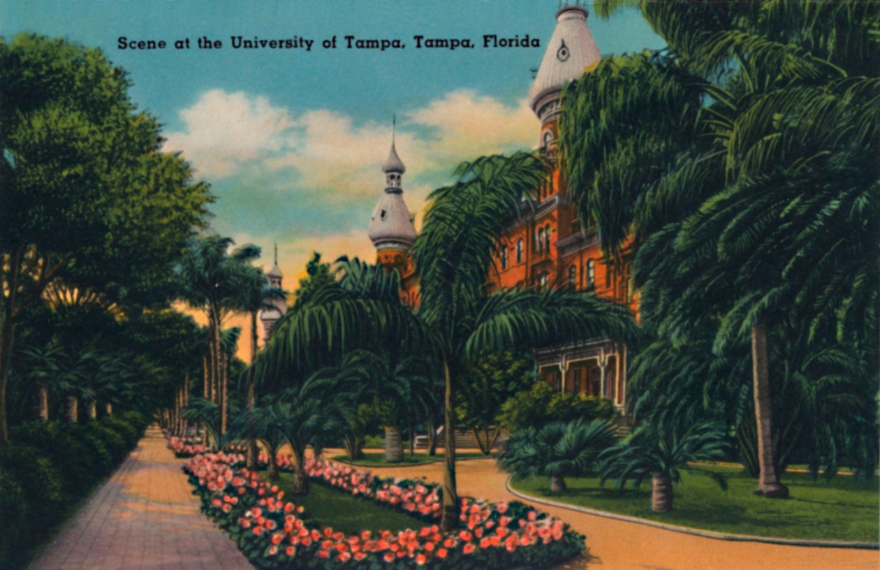Scene ved University of Tampa, Tampa, Florida, ca 1940-tallet av Unbekannt