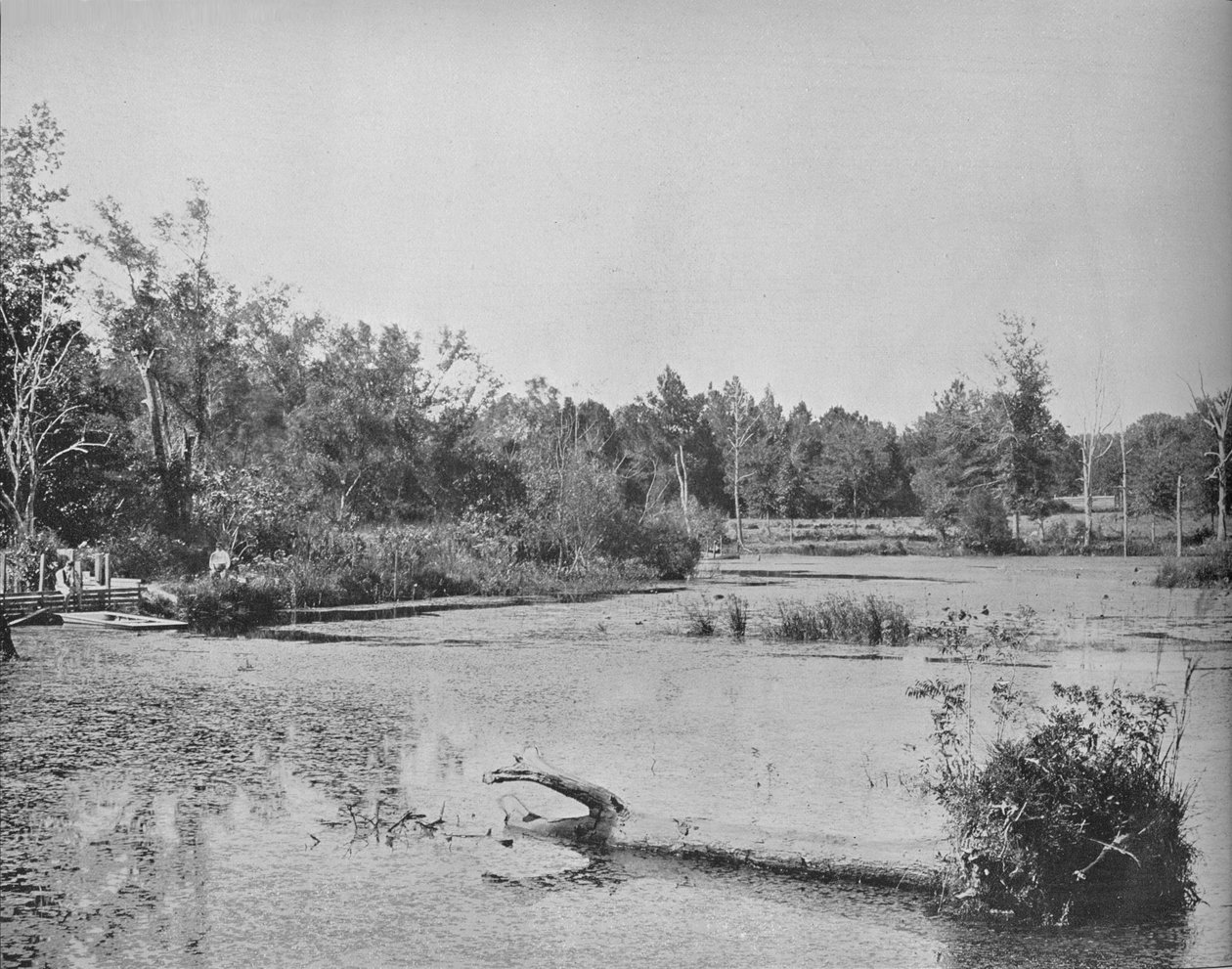 Scene i Mississippi, c1897. av Unbekannt