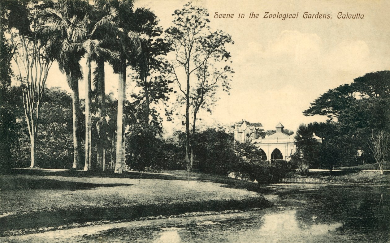 Scene i Zoological Gardens, Calcutta. av Unbekannt
