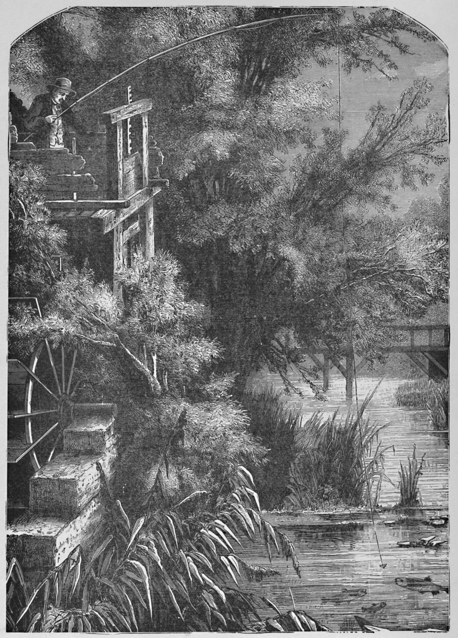 Scene på en bekk som tømmes ut i den lille Juniata, 1883 av Unbekannt