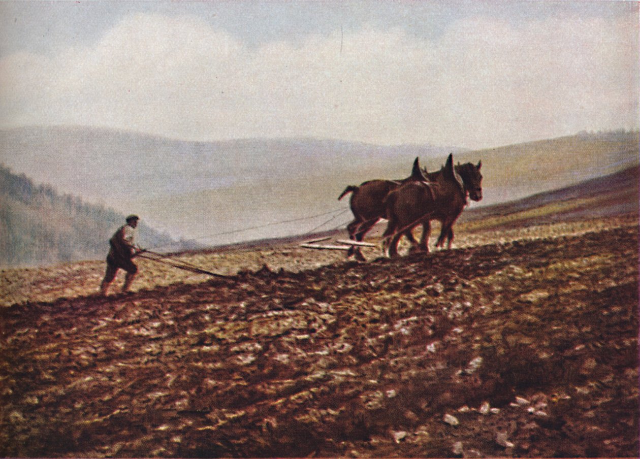 Skottland, ca 1930-tallet av Unbekannt
