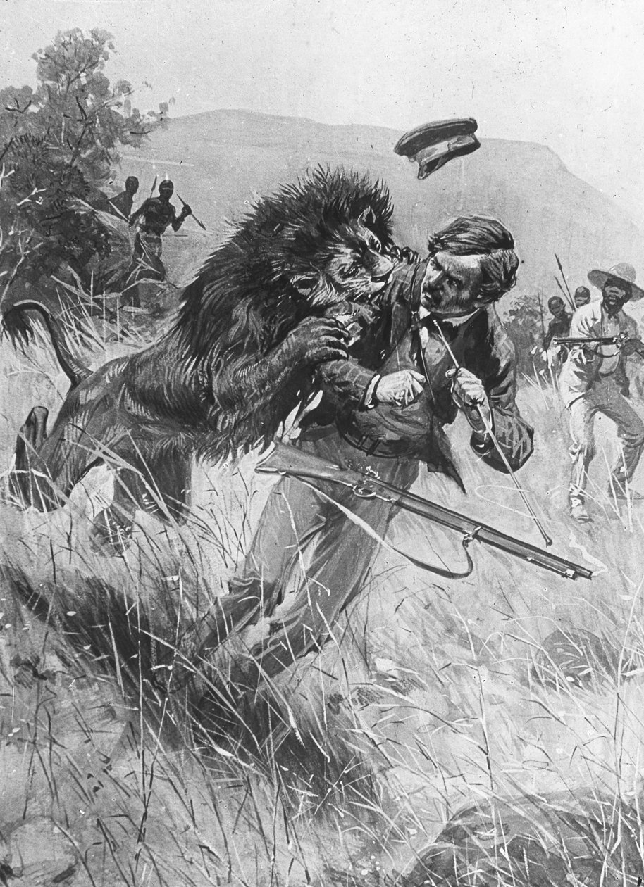 Skotsk misjonær og oppdagelsesreisende David Livingstone blir angrepet av en løve, Afrika, 1800-tallet av Unbekannt