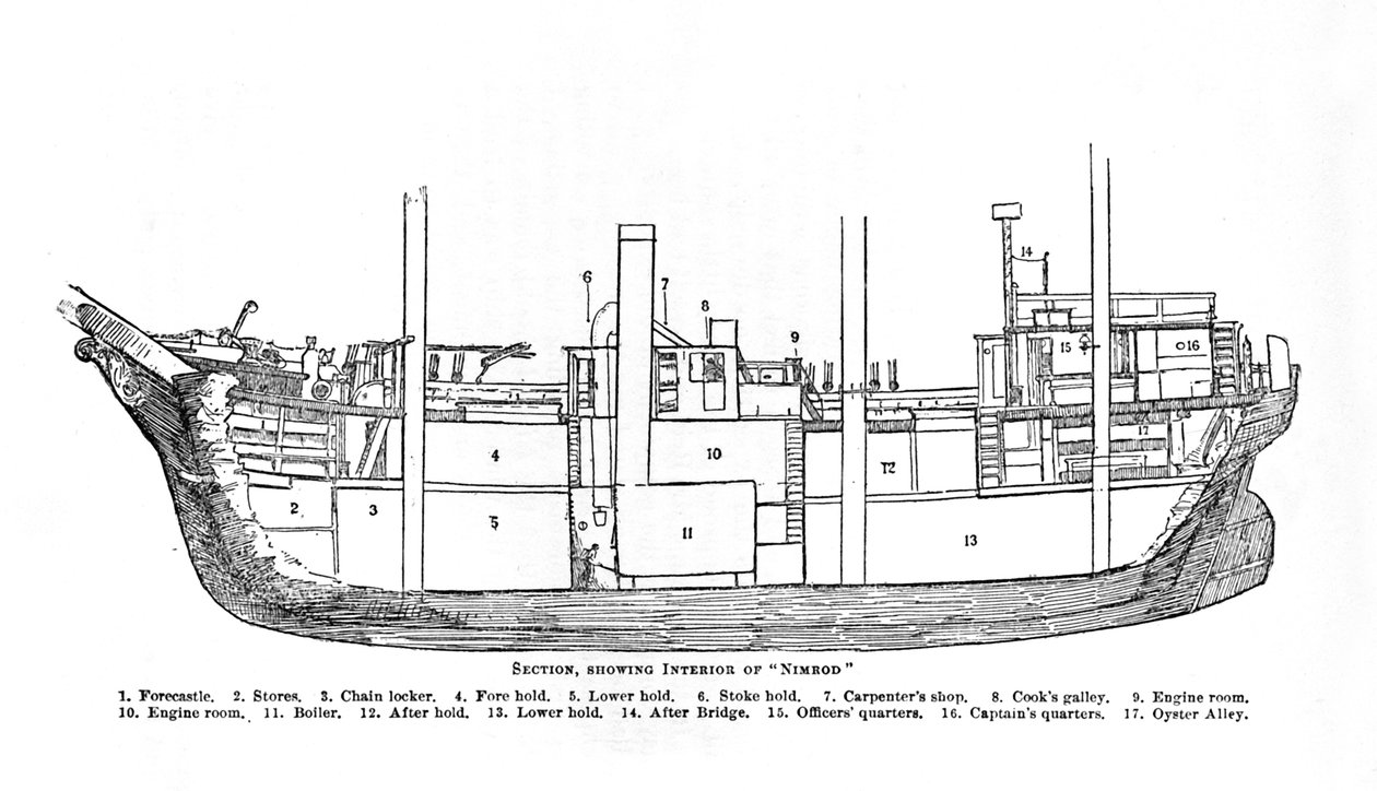 Seksjon, viser interiøret til Nimrod., 1909 av Unbekannt