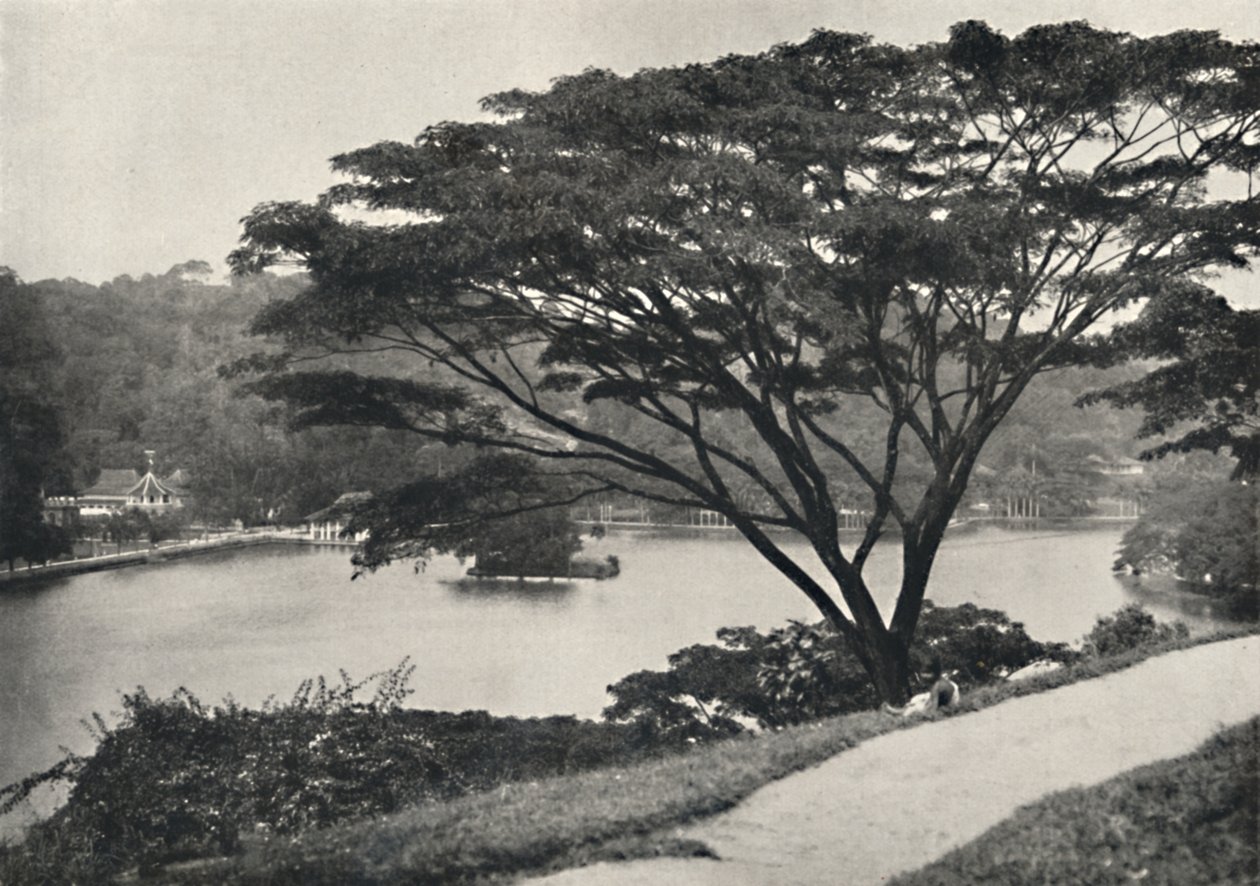 Lake, Temple of the Sacred Tooth Reed og bibliotek i Kandy, sett øst fra Victoria Drive, 192 av Unbekannt