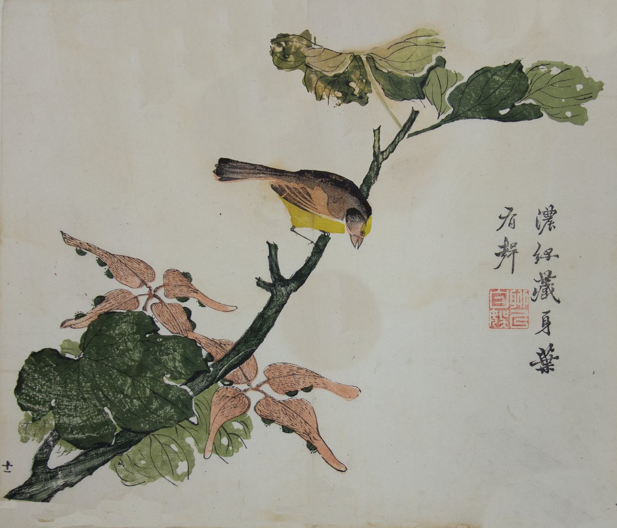 Seeds and Aleurites Cordata : Side fra The Mustard Seed Garden Manual of..., 1782, 2. utgave. av Unbekannt