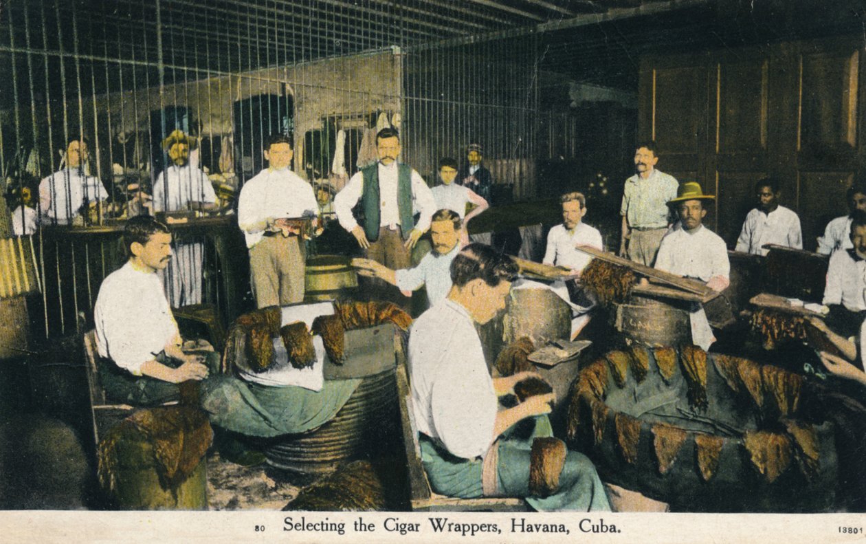 Velge sigarpakker, Havana, Cuba, c1910 av Unbekannt