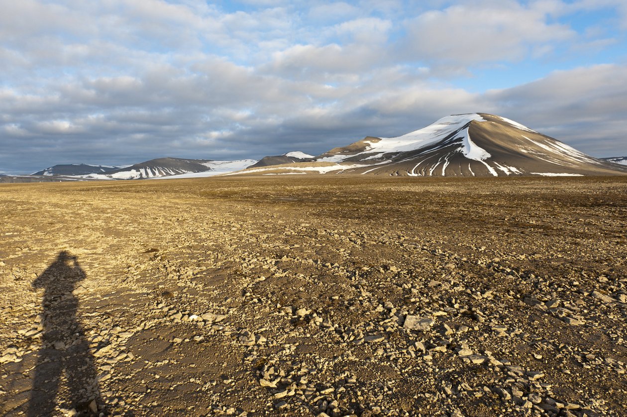 Skygge av en menneskelig, polygonal strukturell jord på Plataberget, snødekte topp Nordenskjoldfjellet i ryggen, nær Longyearbyen, Spitsbergen, Svalbard, Norge, Europa av Unbekannt