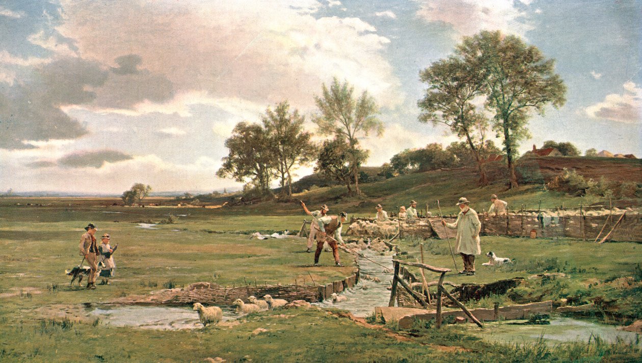 Sauevasking i Sussex, c1889, c1902. av Unbekannt