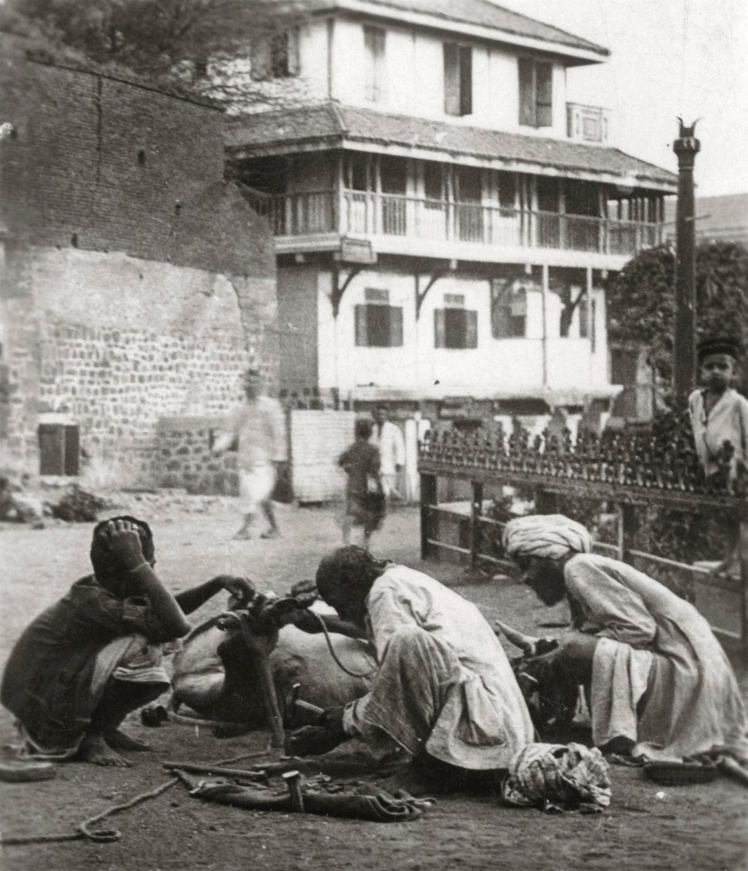 Skoe en okse, India, c1927-c1929 av Unbekannt