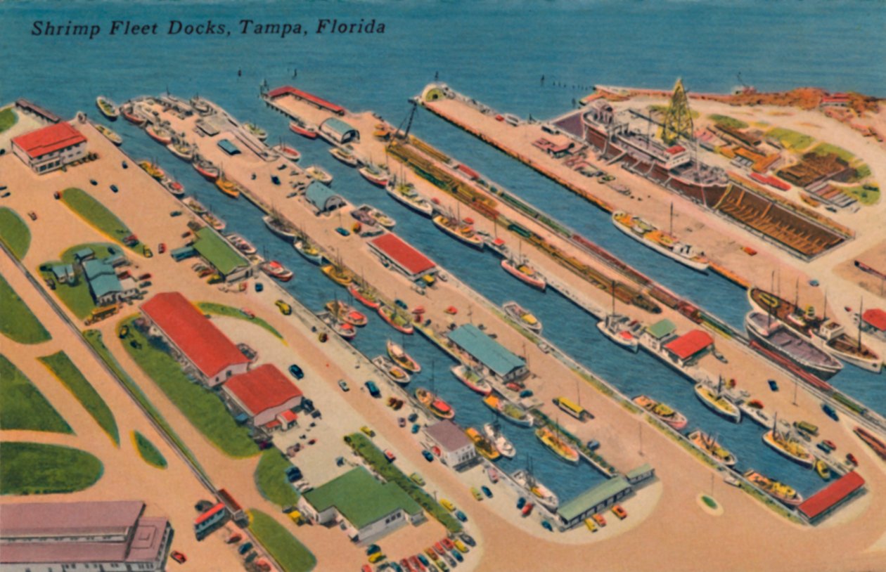 Shrimp Fleet Docks, Tampa, Florida, 1940-tallet av Unbekannt