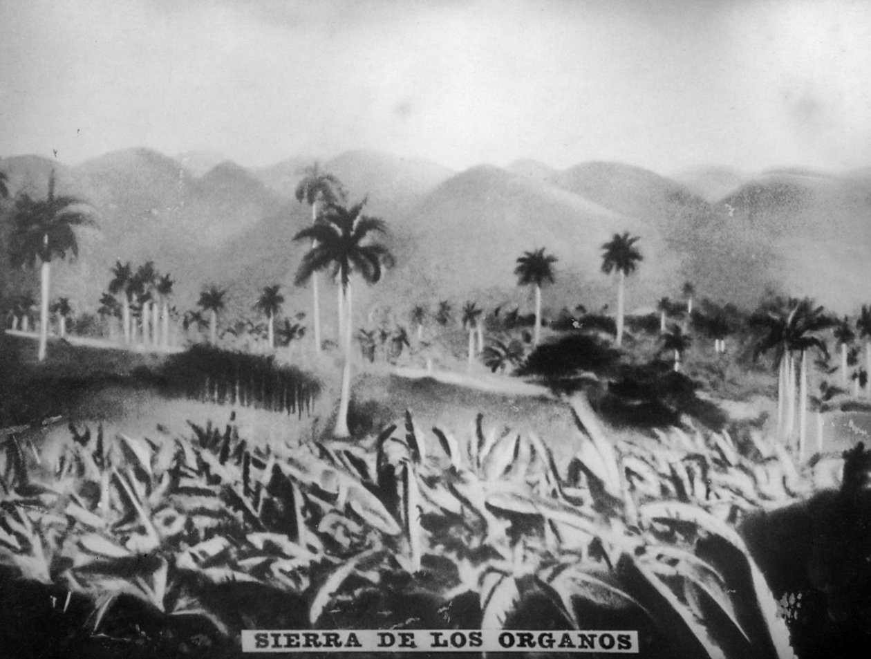 Sierra de los Organos, 1896, 1920-tallet av Unbekannt