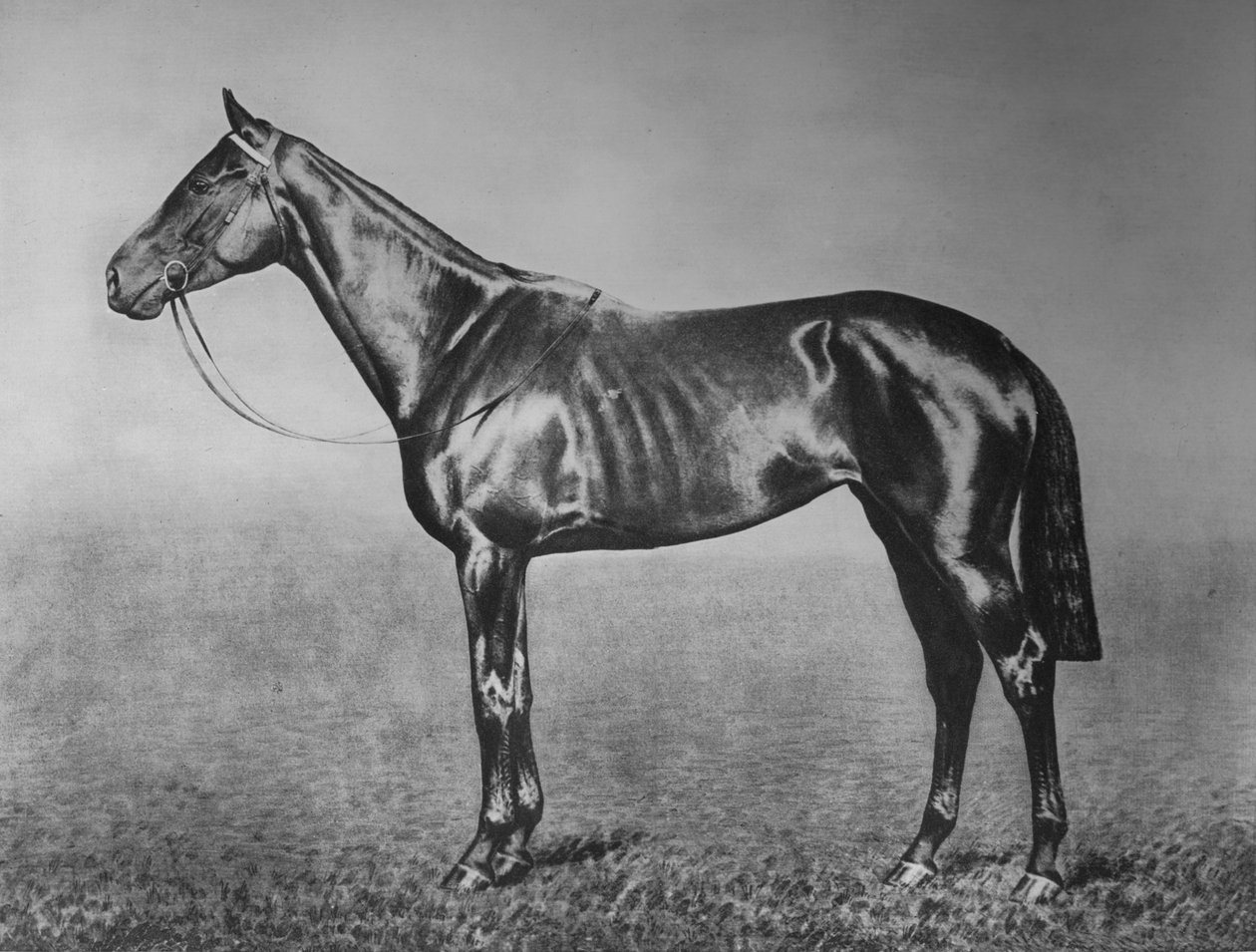 Frøken, 1905-1928, 1911 av Unbekannt