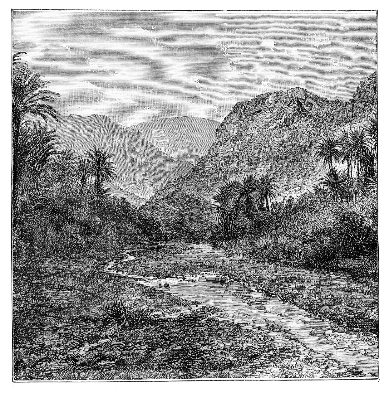 Sinai, Egypt, 1895 av Unbekannt