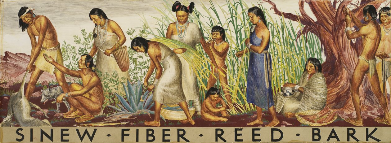 Seine, fiber, siv, veggmaleristudie, ca. 1933-1943. av Unbekannt
