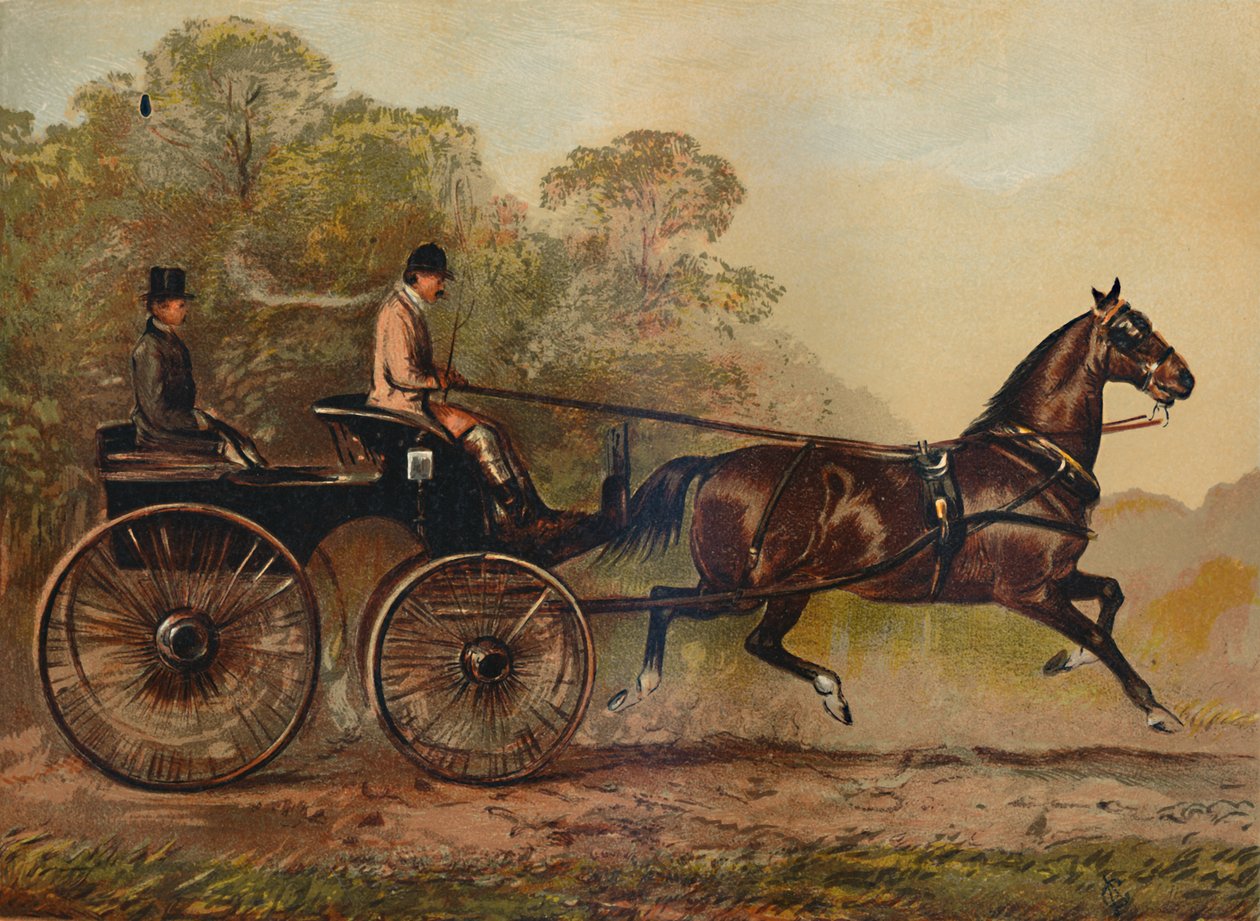 Enkeltsele Phaeton Horse Columbine. Eiendom til Charles Baynes Esq., 1872, c1879 av Unbekannt