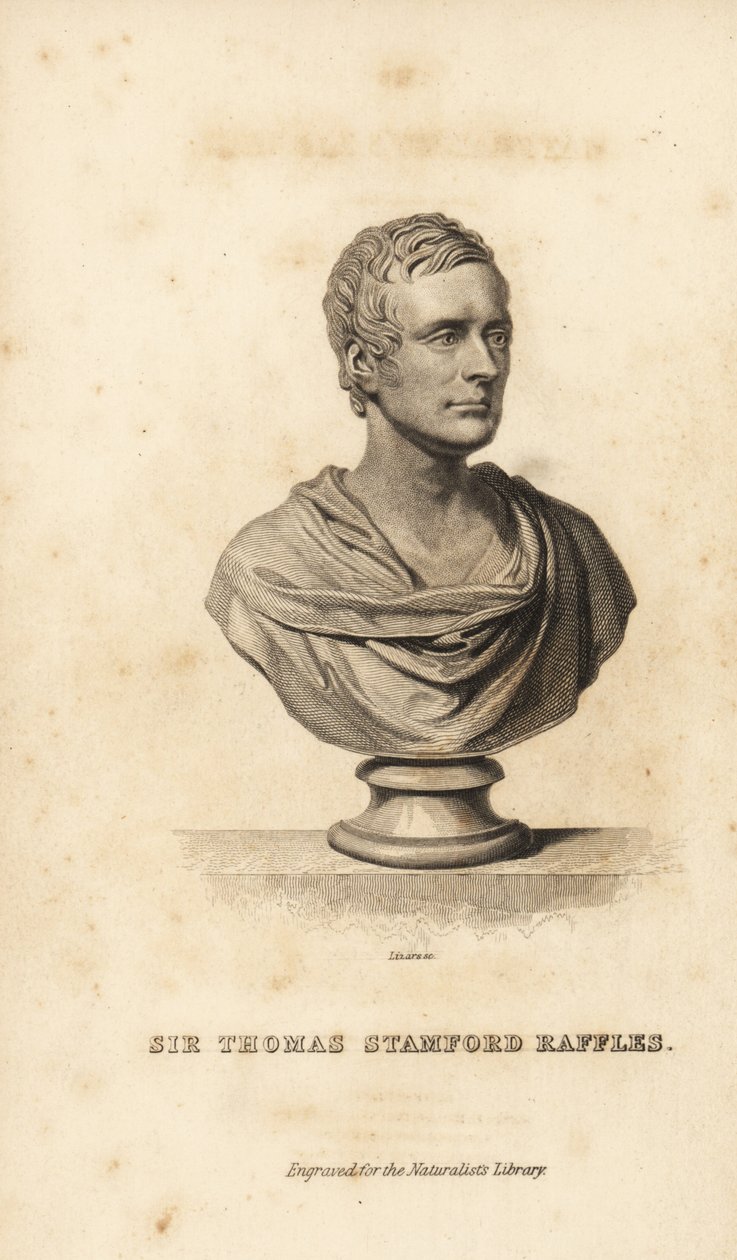Sir Thomas Stamford Raffles , britisk statsmann, forfatter og naturforsker av Unbekannt