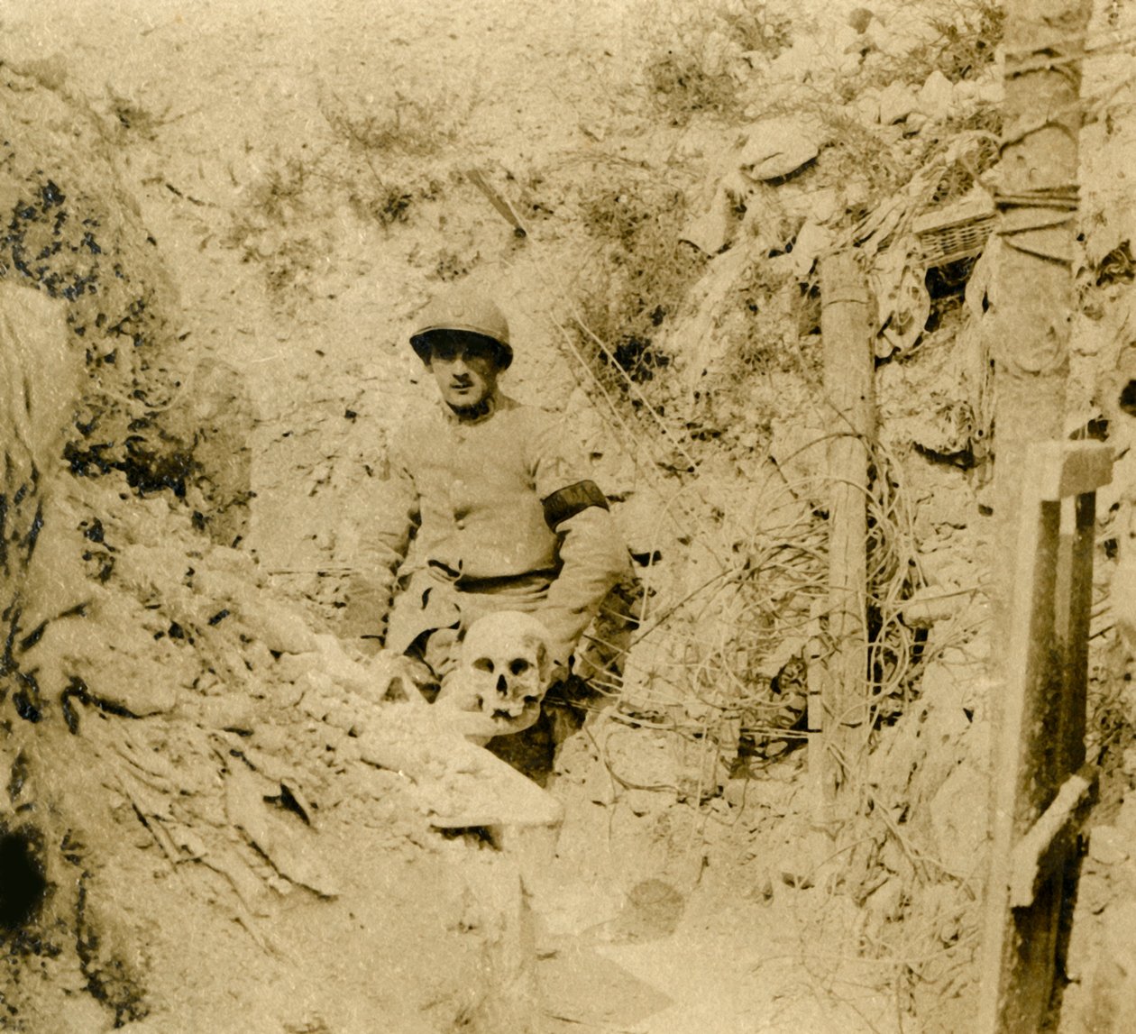 Hodeskalle funnet nedgravd i skyttergravene, c1914-c1918 av Unbekannt