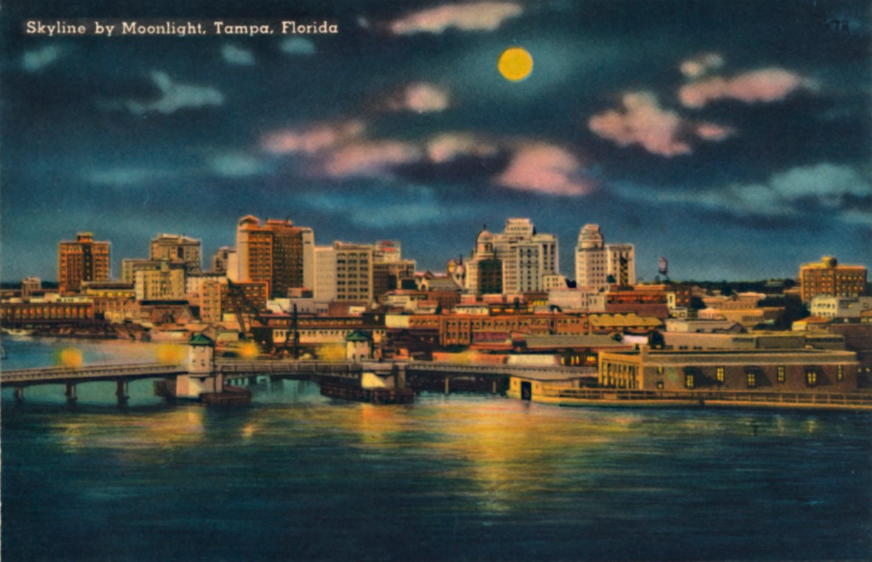 Skyline av Moonlight, Tampa, Florida, c1940-tallet av Unbekannt