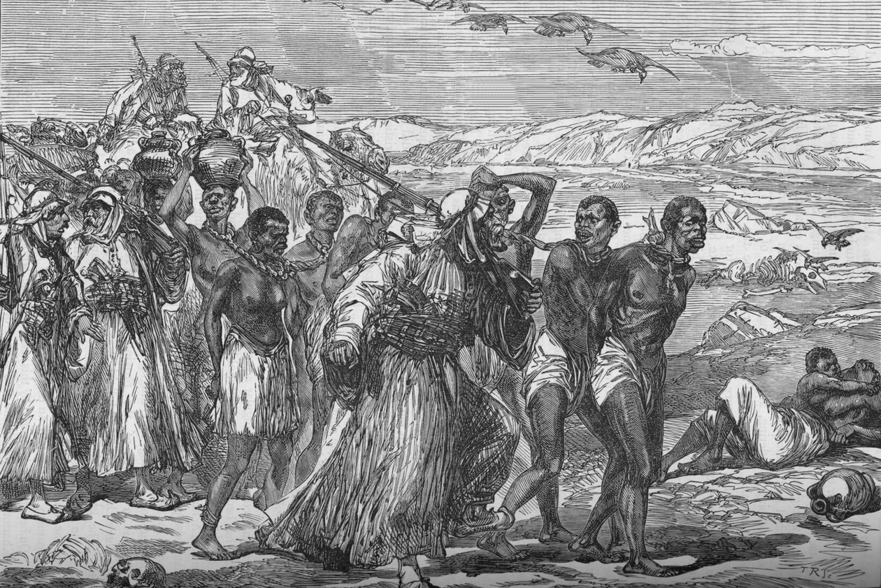 Slavegjeng krysser den afrikanske ørkenen, c1881-85 av Unbekannt