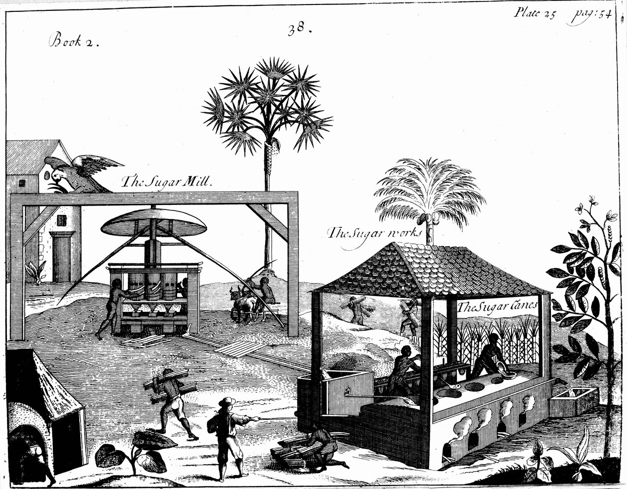 Slavearbeid på en sukkerplantasje i Vestindia, 1725 av Unbekannt