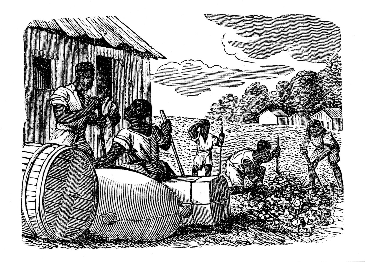 Slaver som jobber på en tobakksplantasje, 1833 av Unbekannt