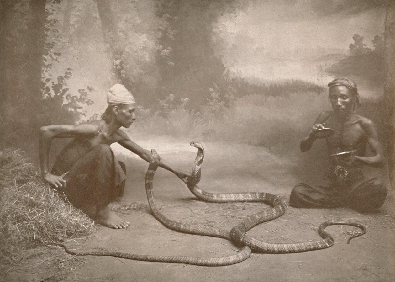 Slangesjarmere med Hamadryads Kuy Cobras, 1900. av Unbekannt