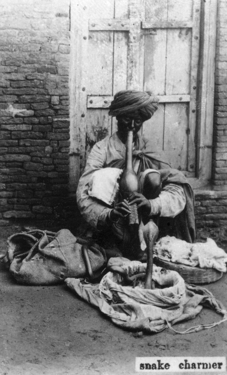 Slangejarmer, India, 1900-tallet av Unbekannt