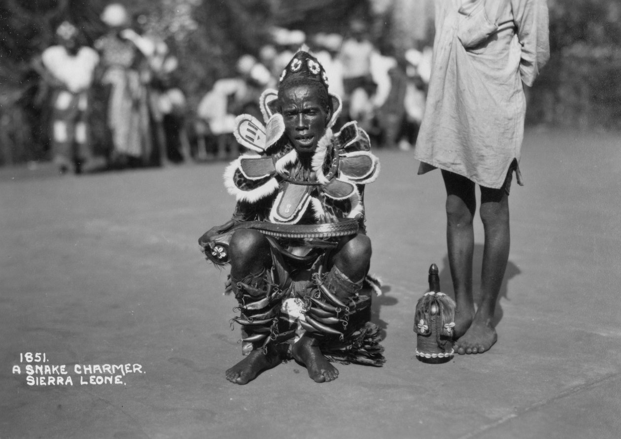 Slangejarmer, Sierra Leone, 1900-tallet av Unbekannt