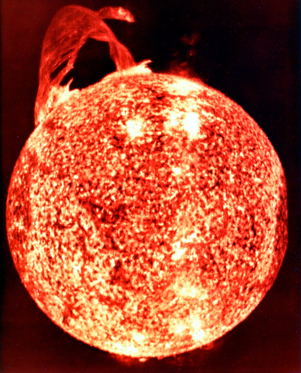 Solflamme av Unbekannt