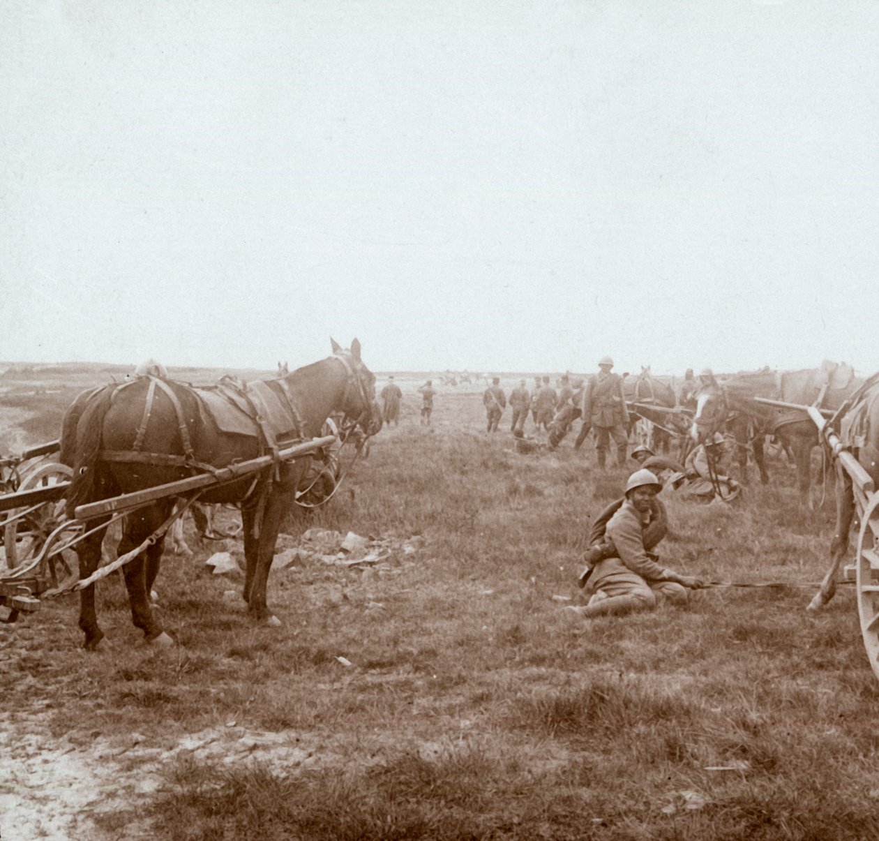 Soldater og hestetrukket artilleri, c1914-c1918 av Unbekannt