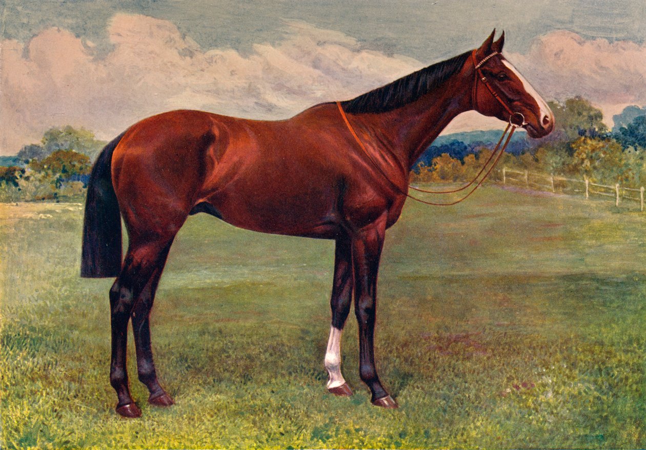 Spearmint, c1905 c1910 av Unbekannt