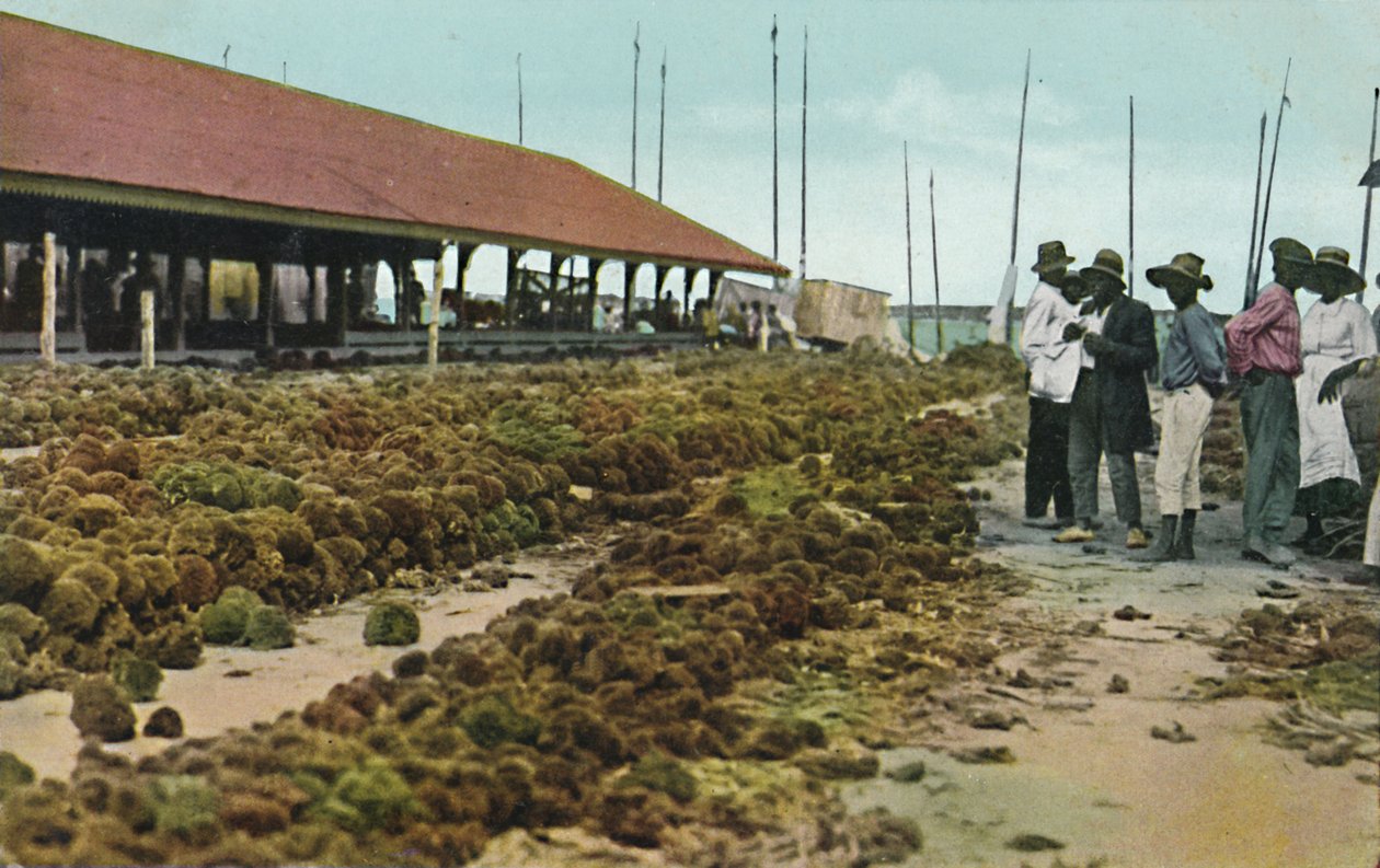 Sponge Market, Nassau, Bahamas, 1930-tallet. av Unbekannt